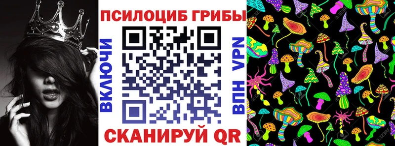 Псилоцибиновые грибы мицелий Гаджиево